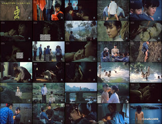 良家妇女 / Liangjia funu / Woman of the Good Family. 1986.