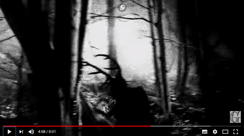 Catturata una creatura umanoide nella foresta: è il Wendigo? | Video Virale YouTube.