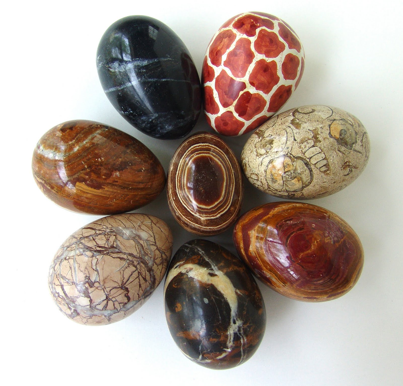 Cool Stuff Art Gallery Marble Egg Collection Photo Art