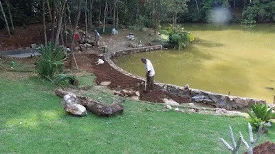 Bizzarri trabalhando, fazendo a execução dos muros de pedra em volta do lago, acertando a terra para fazer os caminhos de pedra com pedra cacão de São Tomé.