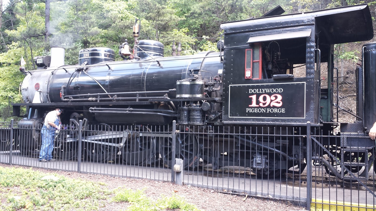 Whats Good Around Here Spotlight Bakery Dollywood