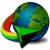  Internet Download Manager 6.22 index.jpg