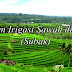 Tujuan Wisata Terkenal di Bali