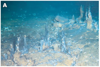 Sciency Thoughts: Two new hydrothermal vent communities from the ...