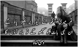 wasi shah two lines urdu poetry 2013