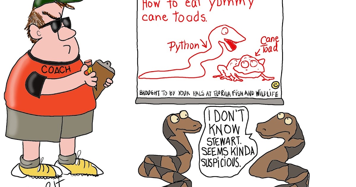 DoinMyToons: Training Pythons