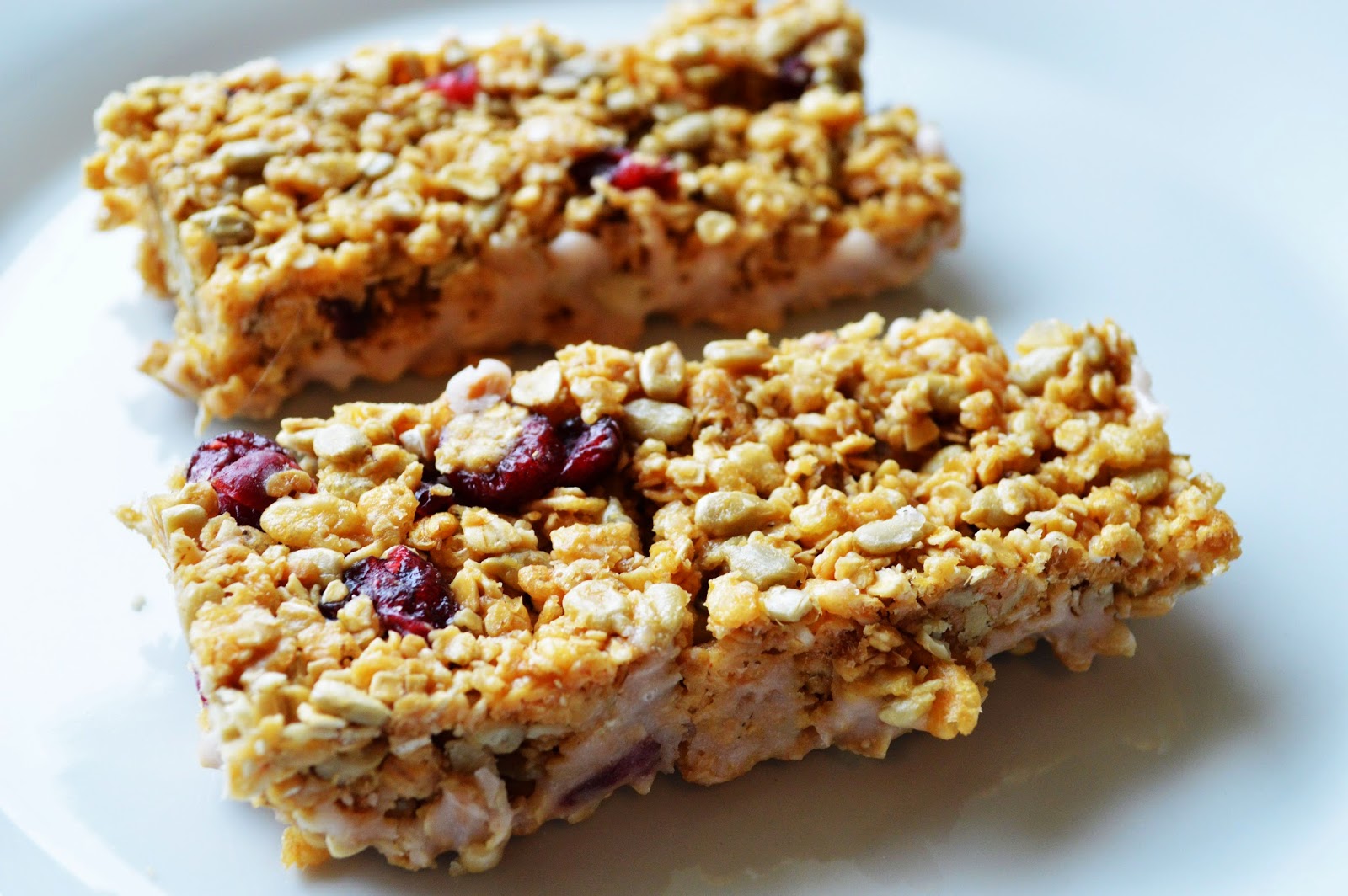 Conklin Girl Cookbook Greek Yogurt Coated Cranberry Granola Bars