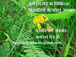 Home Remedies For Fever in Hindi