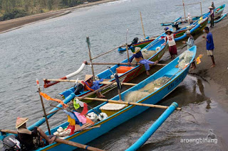 pantai congot cilacap