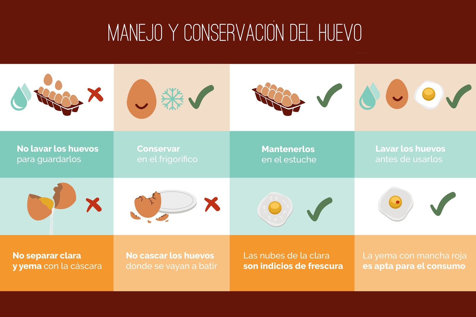 SALUD Y NUTRICIÓN EL HUEVO EN LA DIETA Y LA SALUD SALUD Y NUTRICIÓN EL HUEVO EN LA DIETA Y LA SALUD