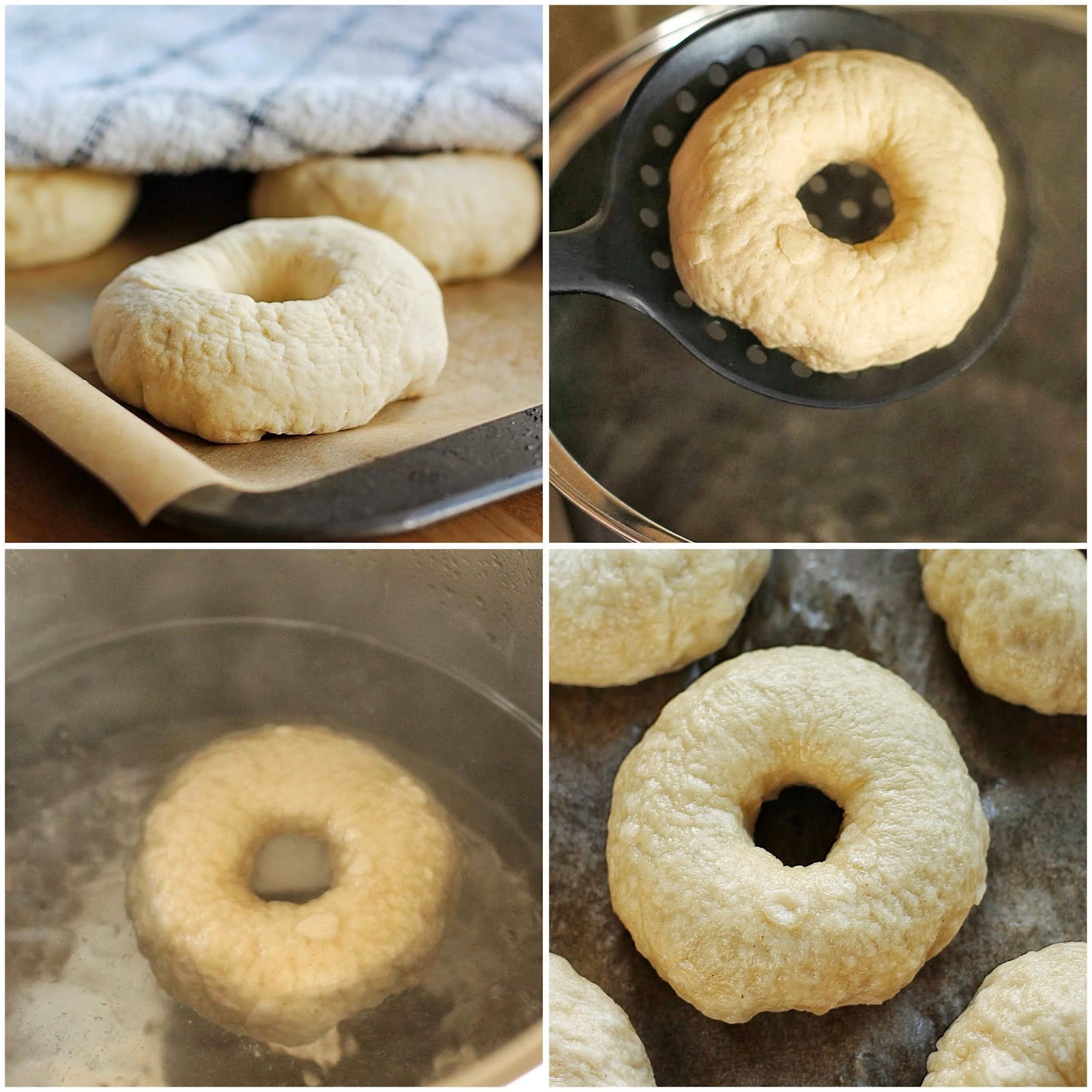 Good Food, Shared How to Make Bagels at Home