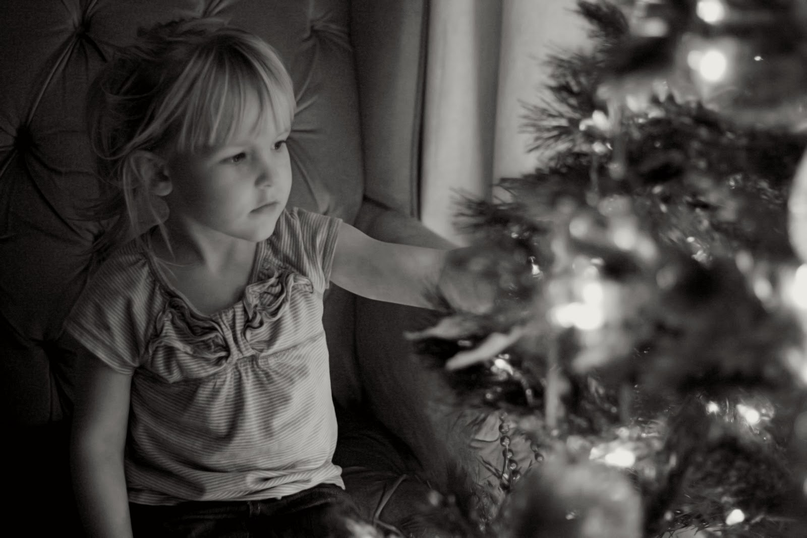 our daily obsessions: :: Photography - christmas tree glow