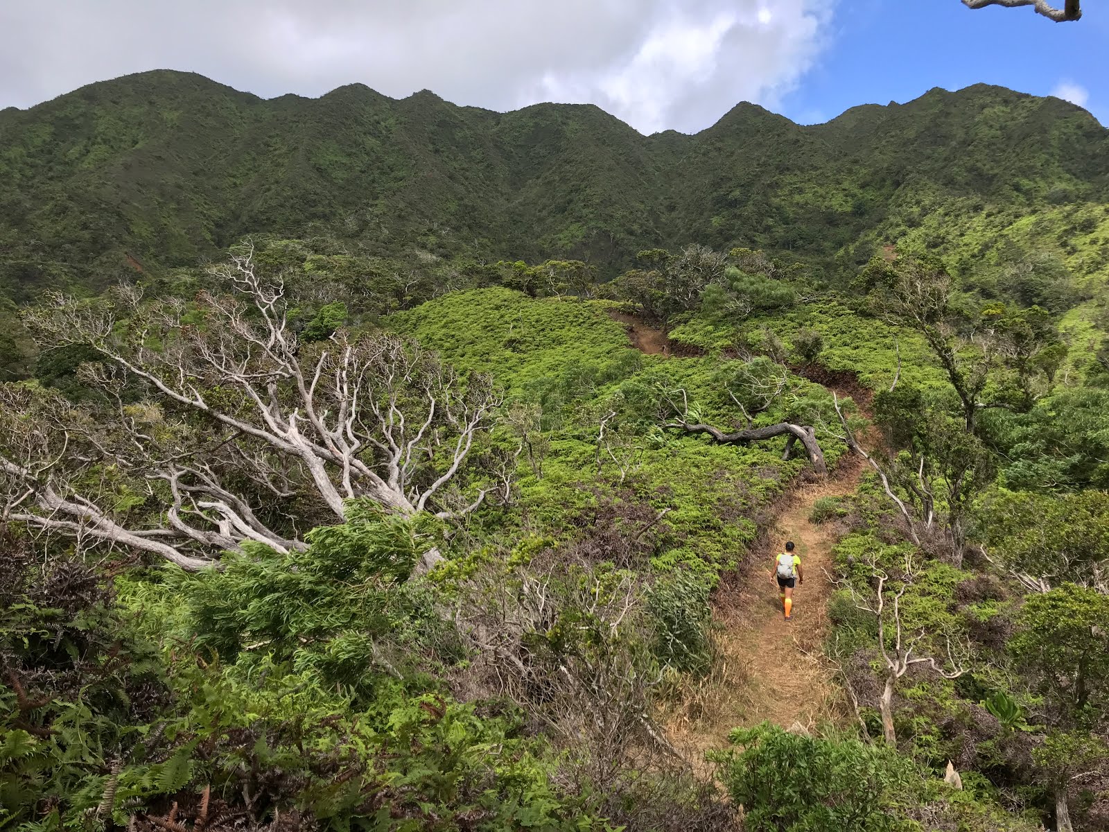 Hawaii Loa Ridge The HI Escapade.