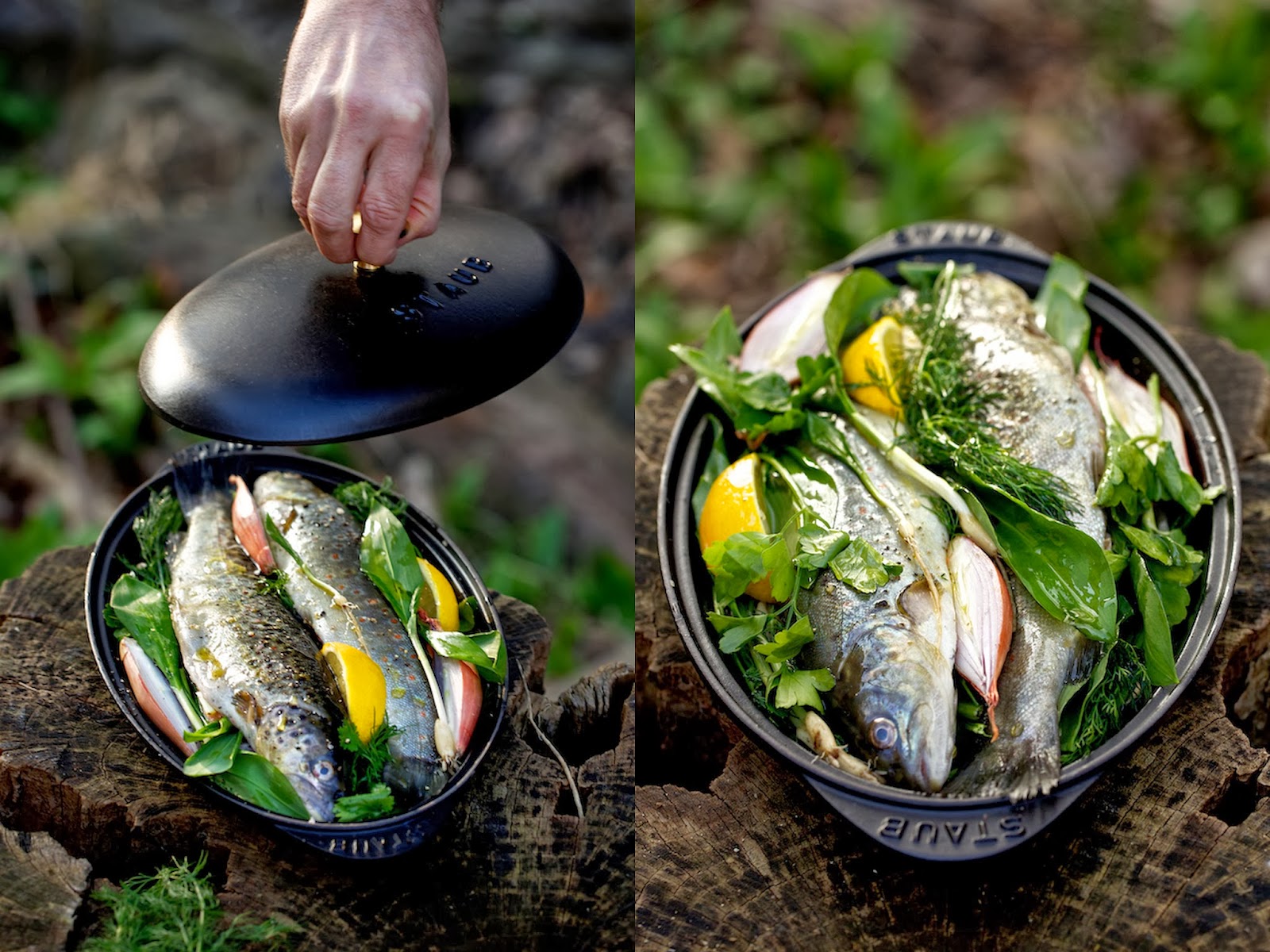 Fisch im Kräuterbett mit Bärlauchzwiebeln | ziiikocht