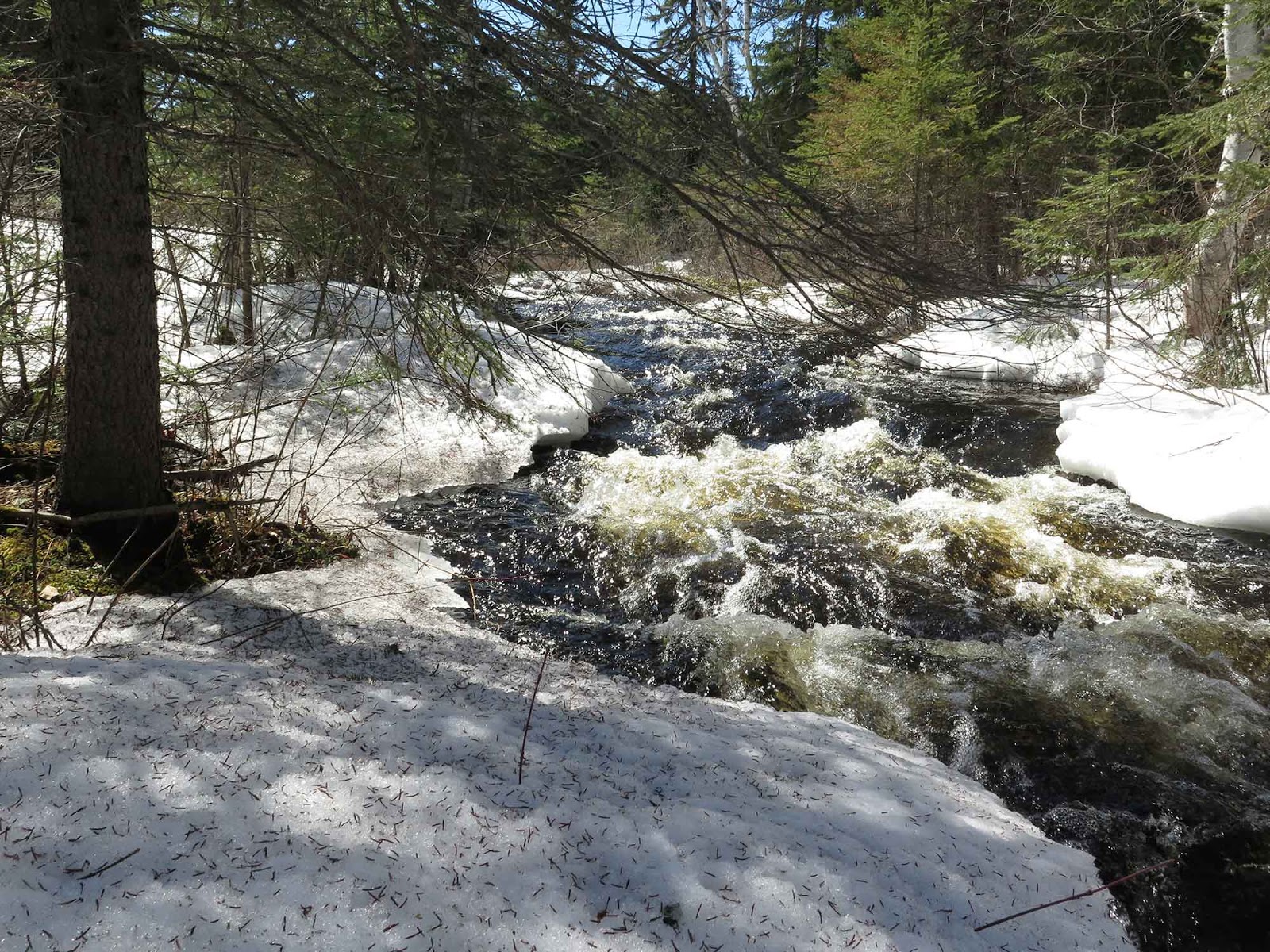 Gowganda Views Great day today tomorrow rain and cool