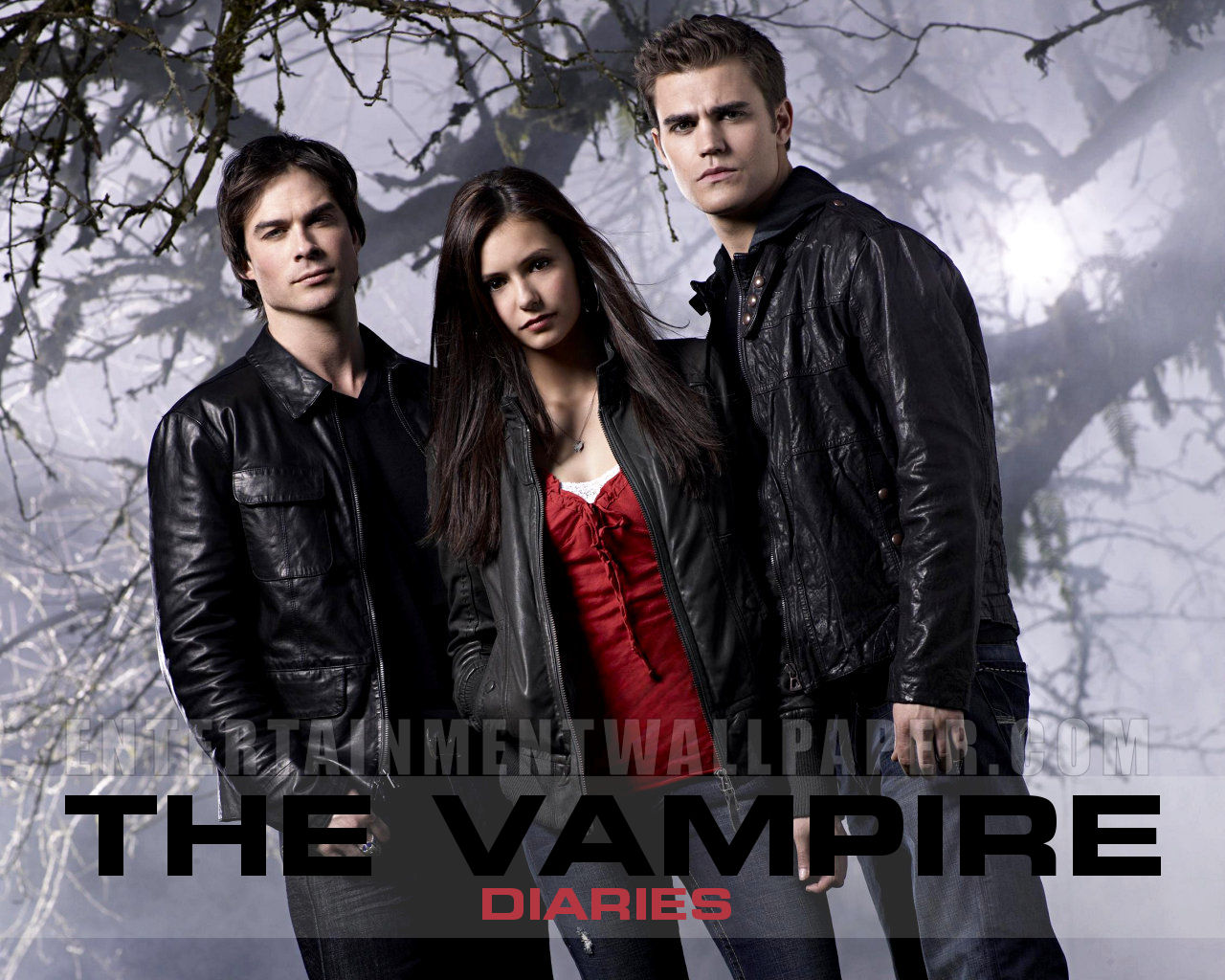 ThunderDome SERIE The Vampire Diaries