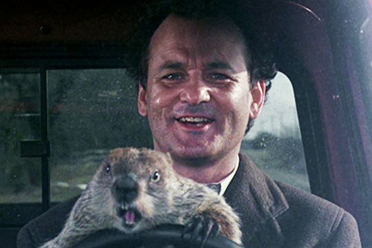 Phil Connors (Bill Murray) y la marmota Phil en Atrapado en el tiempo - Cine de Escritor