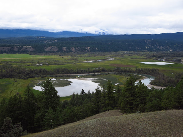 Lookout near Radium Hot Springs\