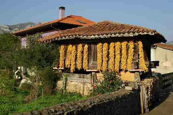 Asturias en imagenes