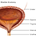 LATEST TREATMENT CAN HELP IN BLADDER CANCER