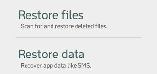 Undelete restore data