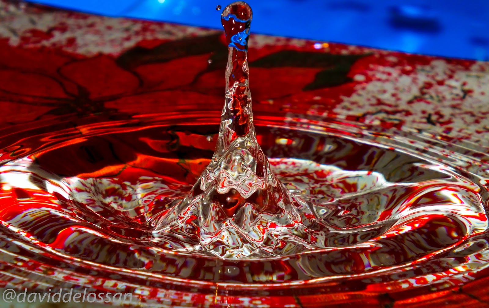 Fotografía de un aficionado: marzo 2013