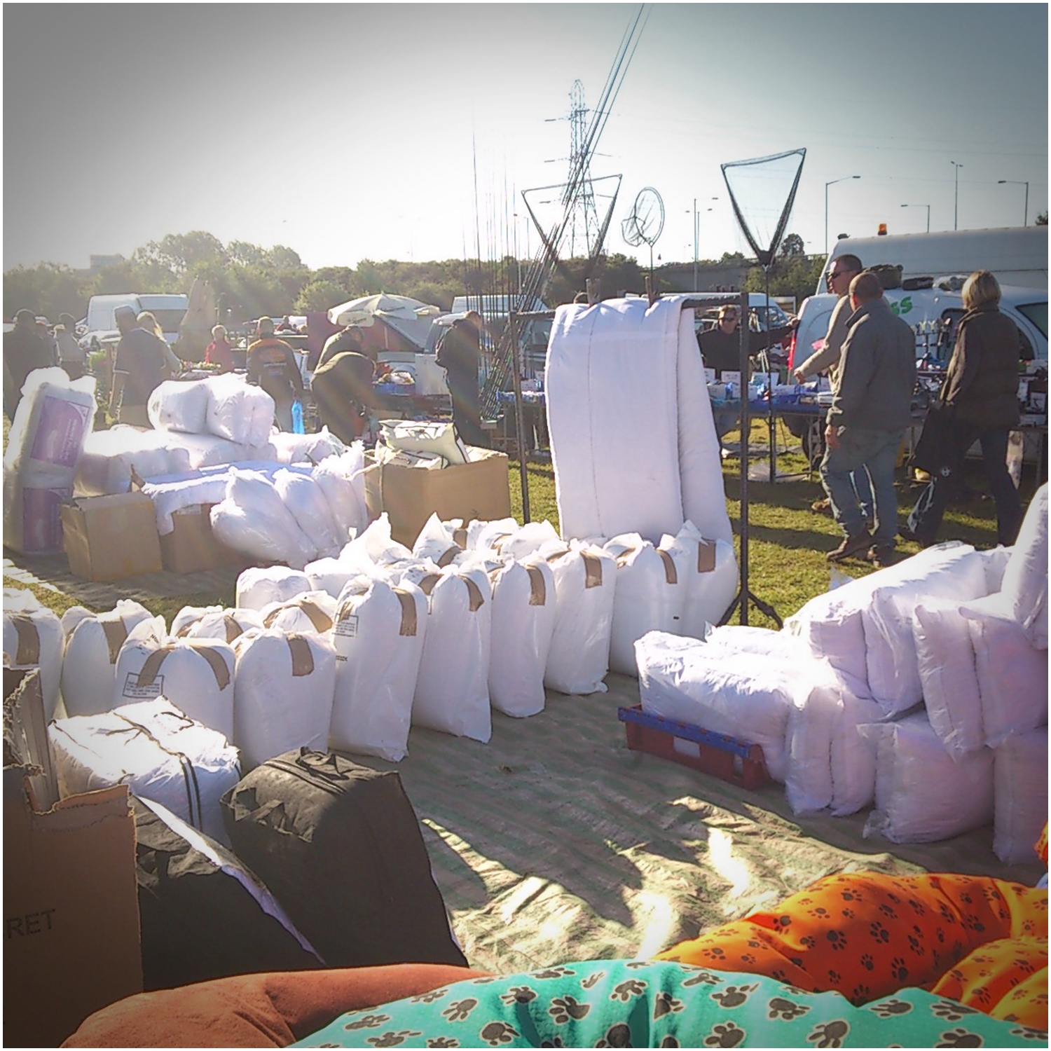 Like a Dandelion Dust Seperti Dandelion Denham Car Boot Sales