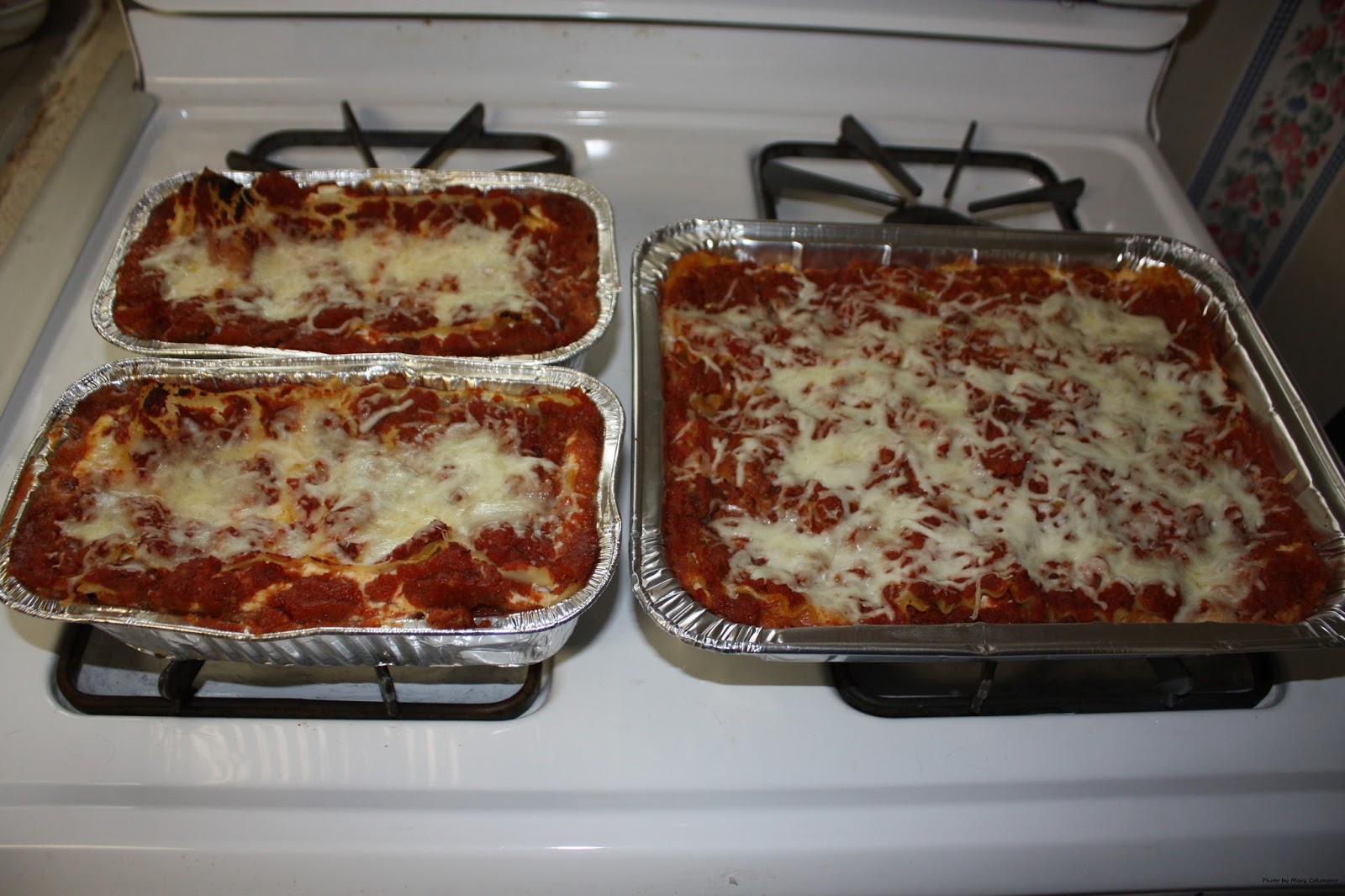 Food Adventures of a Comfort Cook: Lasagna 101 and No Cook Pasta Sheets.