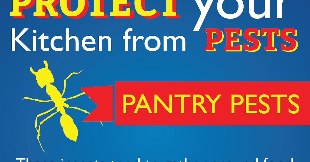 Servall Pest Control Protect your Kitchen from Pantry Pests