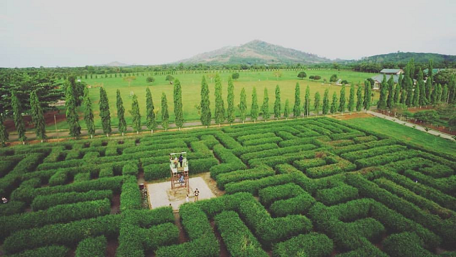 Taman Labirin Pelaihari Kalimantan Selatan Taman Labirin Pelaihari Kalimantan Selatan