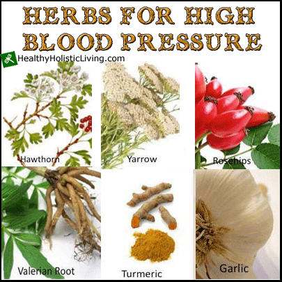 herbs for high blood pressure