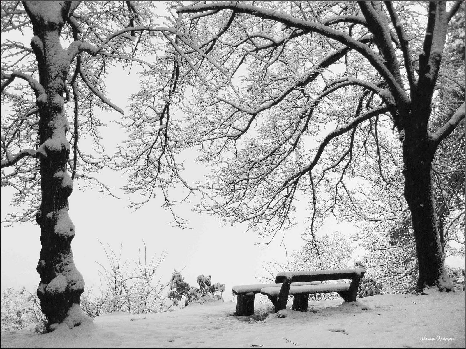Грусть зимой. Зима одиночество. Зима грусть. Одиночество зимой. Унылый зимний пейзаж.