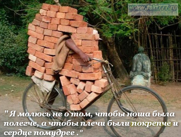 картинки красивые цветы со смыслом картинки красивые цветы со смыслом