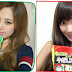 Pho・ccori気分 ハノイの味わいフォー