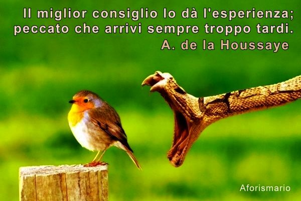 frasi sulle esperienze di vita frasi sulle esperienze di vita