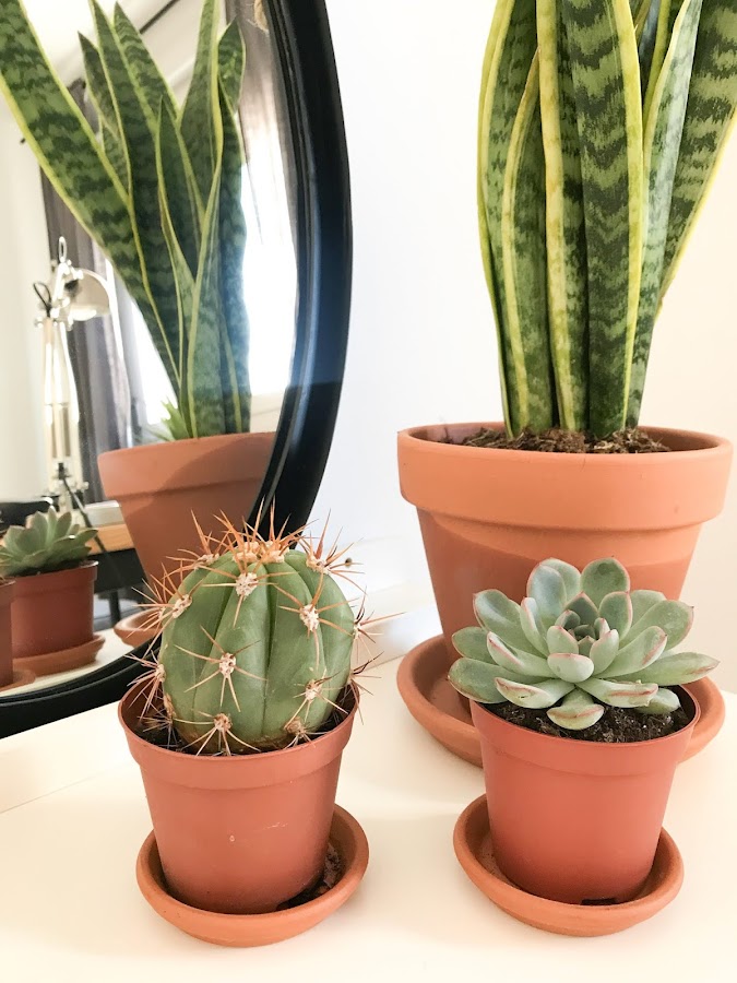 láminas decorativas