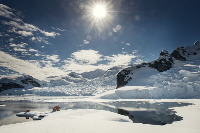 World Meteorological Organisation (WMO) has verified new "record-high temperatures" for Antarctica
