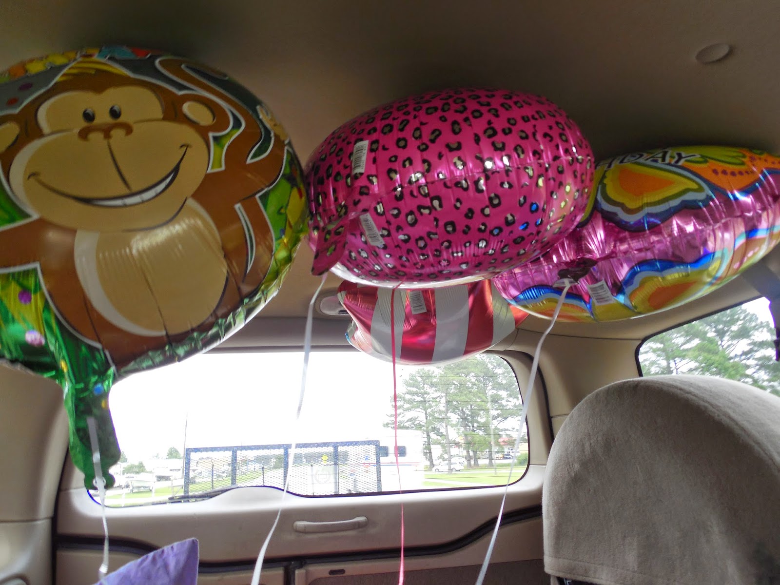 Pray For Lilly Traditions