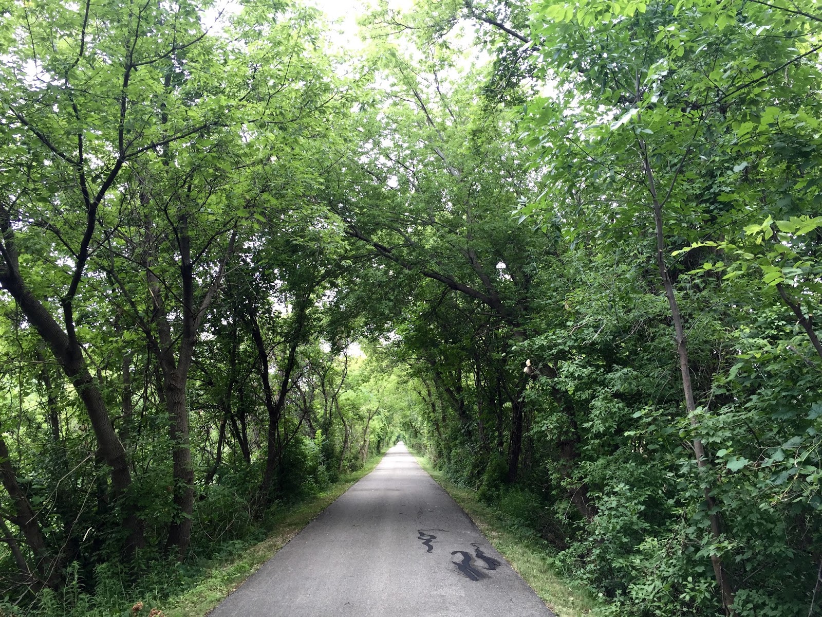 Along the Way White Pine Trail Comstock Park to Rockford (MI)