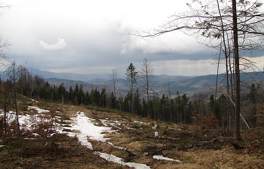 Widok w kierunku zachodnim z grzebietu Mędralowej