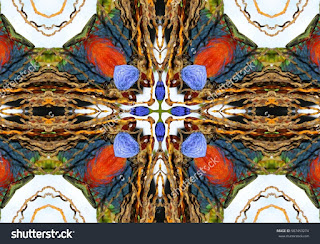 kaleidoscopic picture of Macaws, photography kaleidoscopic, abstract surrealism, geometric composition macaw feathers kaleidoscopic picture of Macaws, photography kaleidoscopic, abstract surrealism, geometric composition macaw feathers