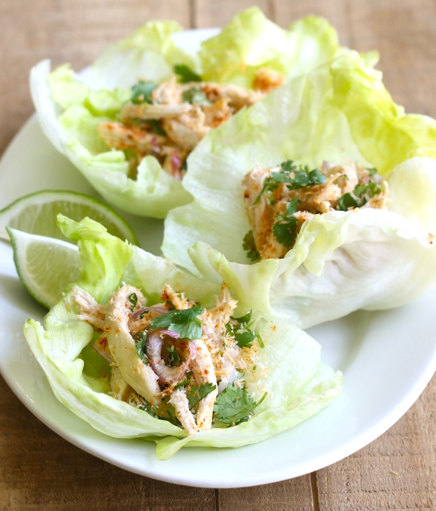 Toasted Coconut & Chicken Lettuce Wrap recipe by SeasonWithSpice.com