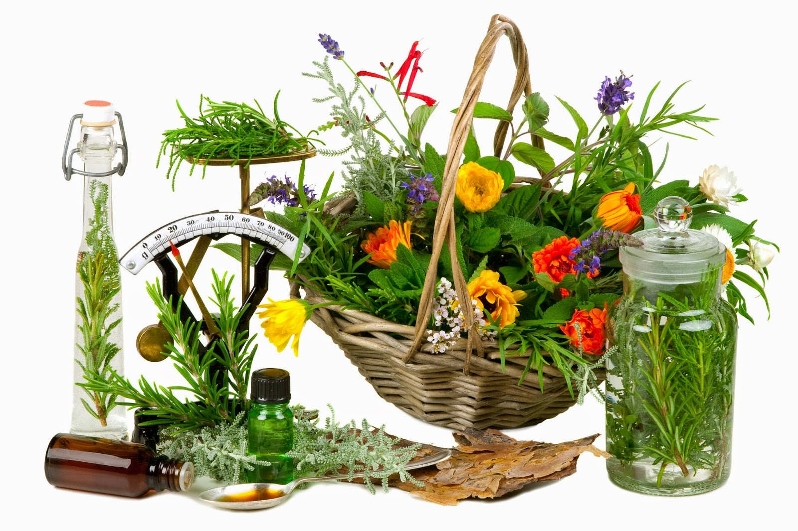 AlchemYegg AumniVerse =alchemy egg am universe= Global Herbal