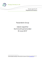 Tessenderlo, Q2, 2015, front page, report