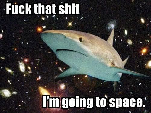 [Image: fuck-that-shit-i-am-going-to-space-shark.jpg]