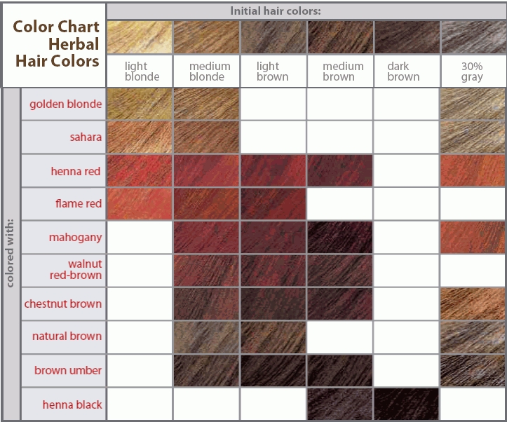 brown hair color shades How to choose the best hair in shades of hair