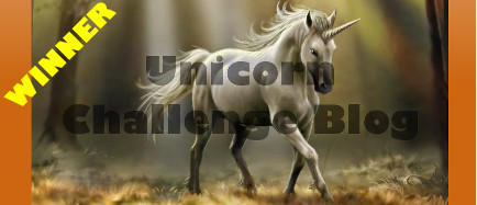 Unicorn Challenge Winner