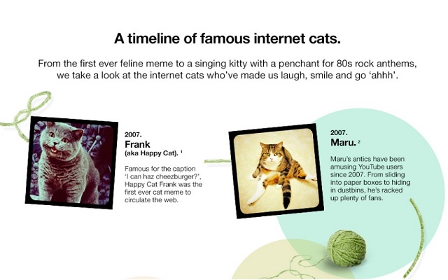 Image: A Timeline of Famous Internet Cats 