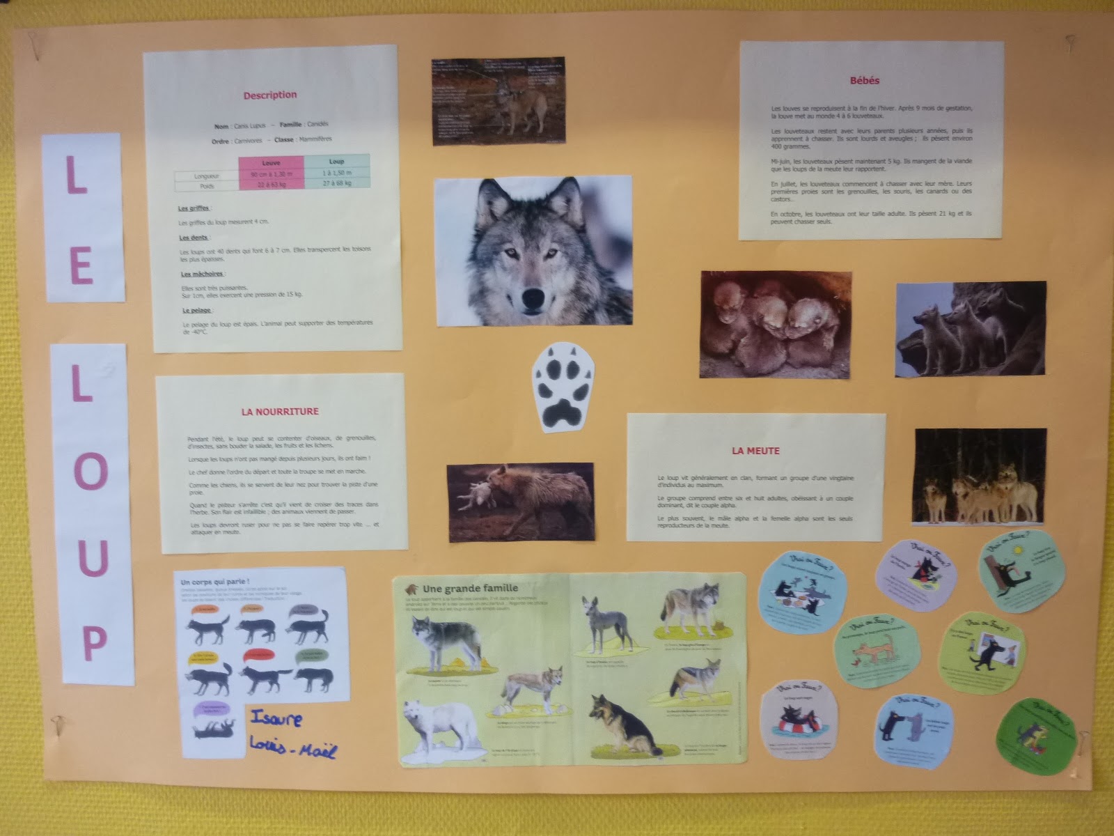 Expose Sur Le Chien Cm2 Modele d'exposÃ© cm2