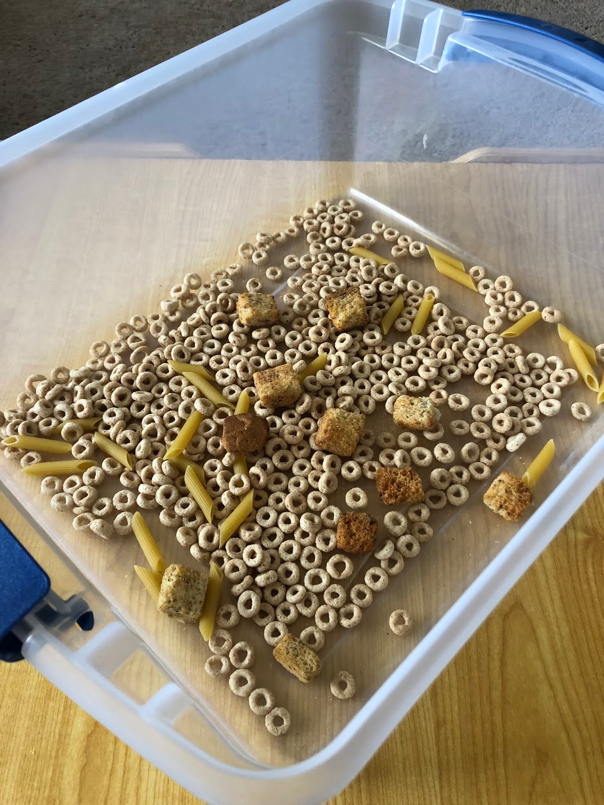 I Did It You Do It Hammer Box